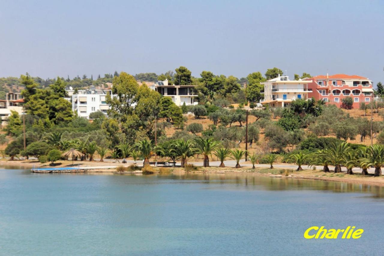 Niriides Apartments Porto Heli Exterior photo